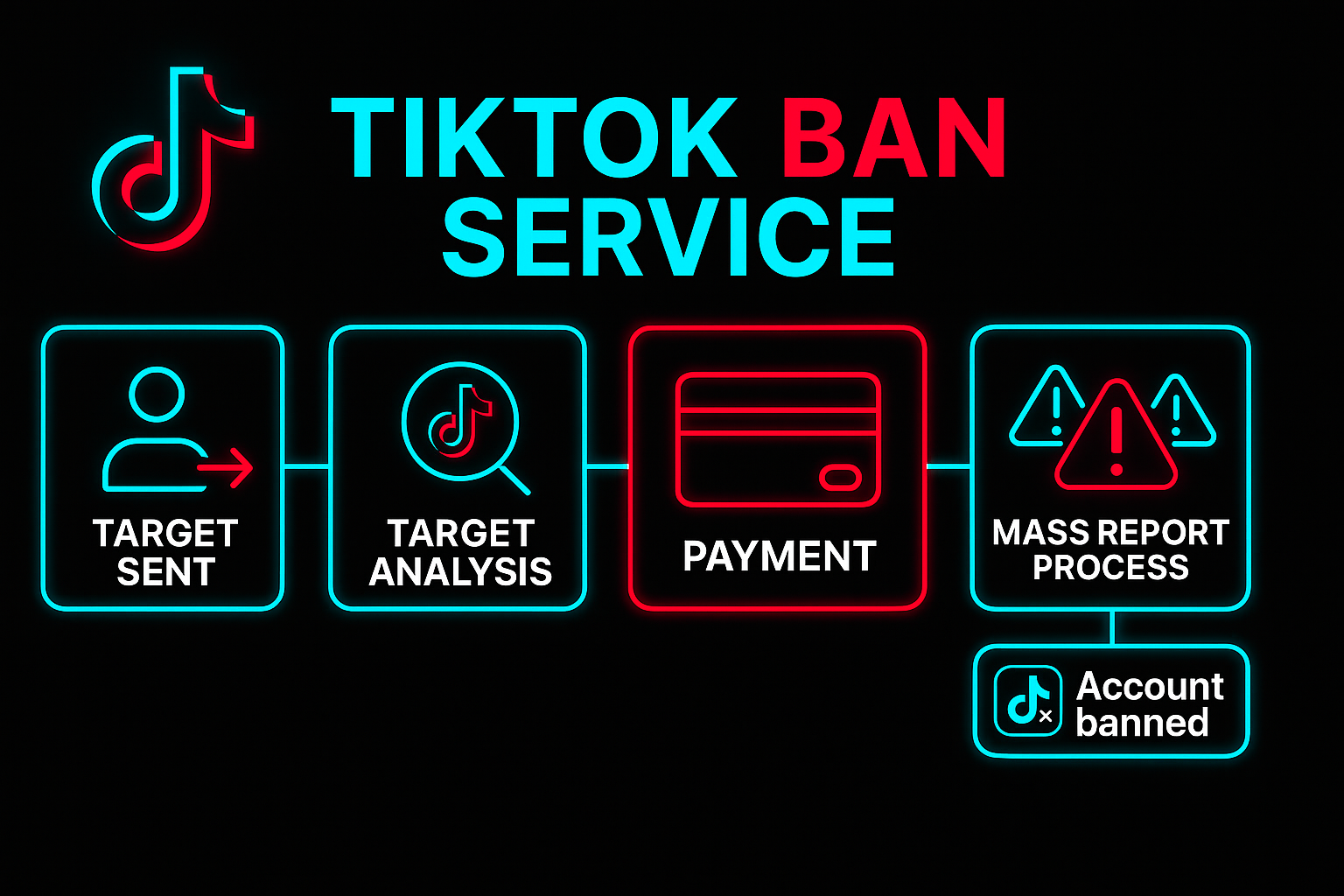TikTok ban service dashboard showing enforcement case management and success metrics