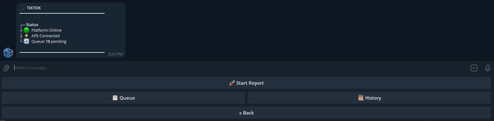 TikTok mass report bot dashboard showing coordinated reporting workflow and real-time progress tracking